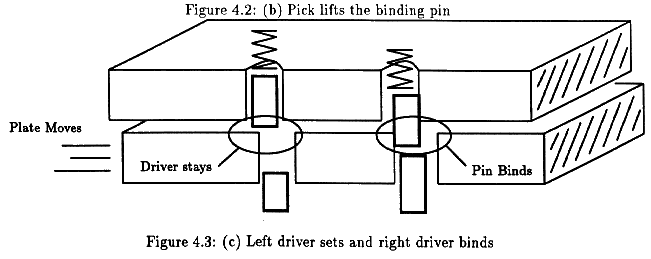 Figure 4.3c - p10c-nt.gif