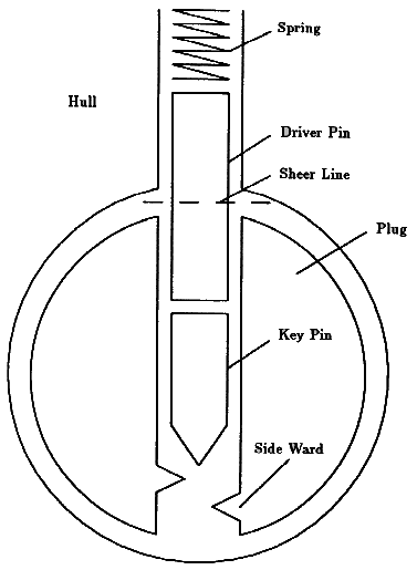 Figure 5.1 - p12-nt.gif