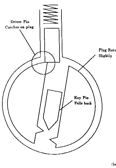 Figure 6.1 - p18-nt.gif